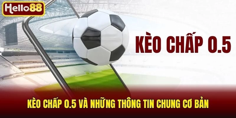 Kèo chấp 0.5 và những thông tin chung cơ bản