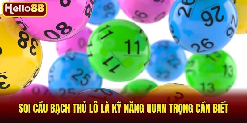 Soi cầu bạch thủ lô là kỹ năng quan trọng cần biết